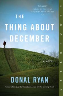 The Thing About December Read online