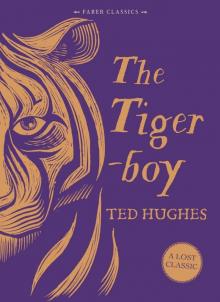 The Tigerboy (Faber Children's Classics Book 2) Read online