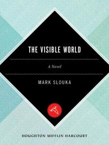 The Visible World Read online