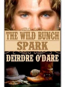 The Wild Bunch 2 Spark Read online