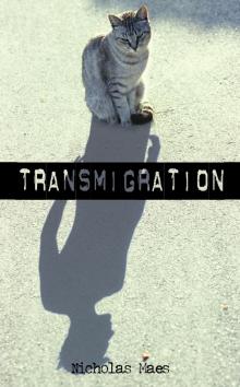 Transmigration Read online