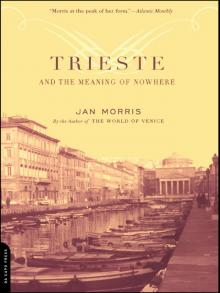 Trieste and the Meaning of Nowhere Read online