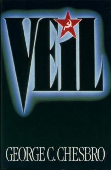 Veil vk-1 Read online