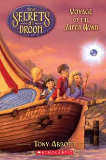 Voyage of the Jaffa Wind (The Secrets of Droon #14) Read online