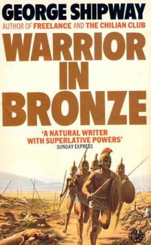 Warriors in Bronze Read online