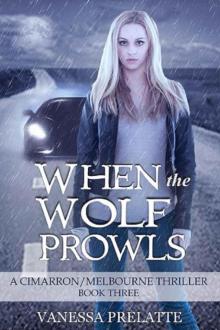 When the Wolf Prowls: A Cimarron/Melbourne Thriller - Book Three Read online