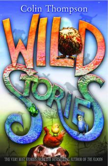 Wild Stories Read online