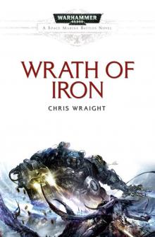 Wrath of Iron Read online