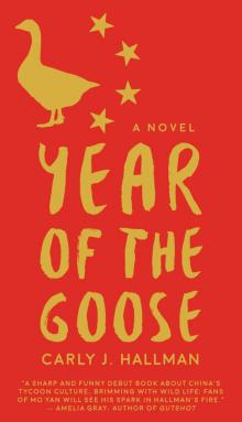 Year of the Goose Read online