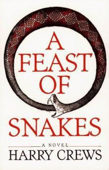 A Feast of Snakes Read online