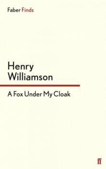 A Fox Under My Cloak Read online