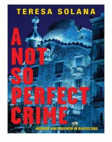 A Not So Perfect Crime Read online