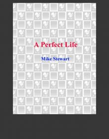 A Perfect Life Read online