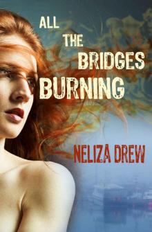 All the Bridges Burning (Davis Groves Book 1)