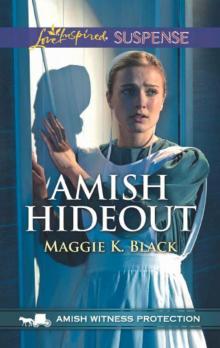 Amish Hideout (Amish Witness Protection Book 1) Read online