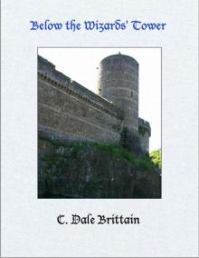 Below the Wizards' Tower (The Royal Wizard of Yurt Book 8) Read online