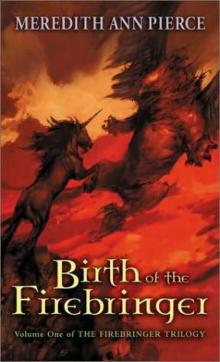 Birth of the Firebringer Read online