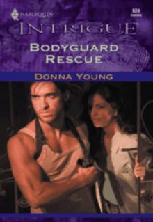 Bodyguard Rescue Read online