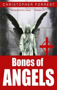Bones of Angels Read online