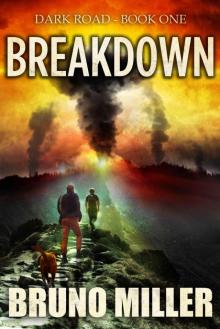 Breakdown: A Post-Apocolyptic Survival series (Dark Road Book 1)