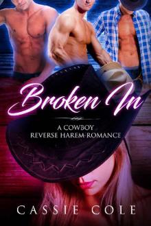Broken In: A Cowboy Reverse Harem Romance Read online
