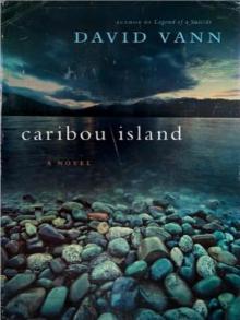 Caribou Island Read online