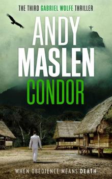Condor (The Gabriel Wolfe Thrillers Book 3) Read online