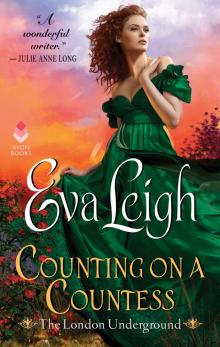 Counting on a Countess Read online