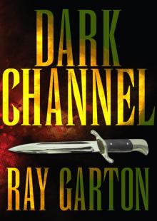 Dark Channel Read online