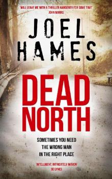 Dead North (Sam Williams Book 1) Read online