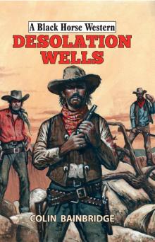 Desolation Wells Read online