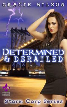 Determined & Derailed (Storm Corp Book 1) Read online