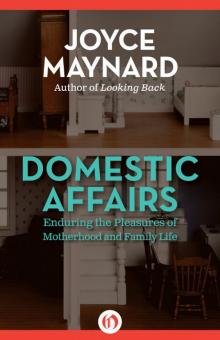 Domestic Affairs Read online