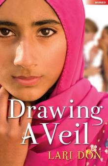 Drawing a Veil Read online