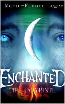 Enchanted: The Labyrinth Read online