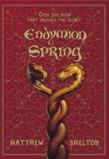 Endymion Spring Read online
