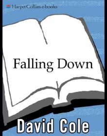 Falling Down Read online