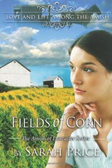 Fields of Corn