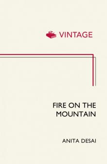 Fire On the Mountain Read online
