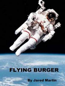 Flying Burger