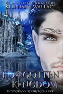 Forgotten Kingdom (The Winter Court Chronicles Book 1) Read online