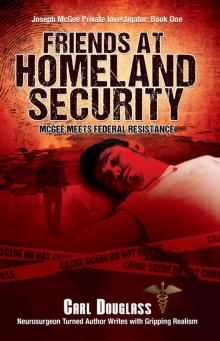 Friends at Homeland Security Read online