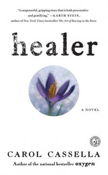 Healer: A Novel Read online