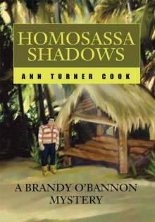 HOMOSASSA SHADOWS Read online