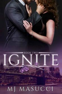Ignite: Book 2 (The Heat Series 1) Read online