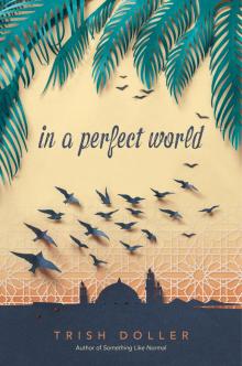 In a Perfect World Read online