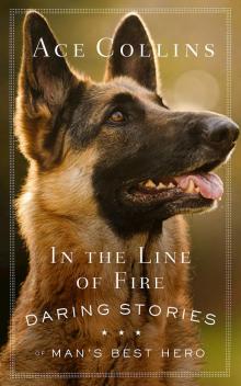 In the Line of Fire Read online