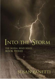 Into the Storm Read online