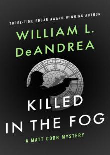 Killed in the Fog Read online