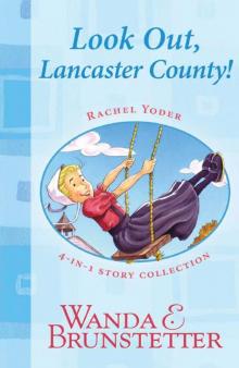 Look Out, Lancaster County Read online